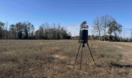Photo #21 of TBD Beth Dr., Nichols, SC 46.9 acres