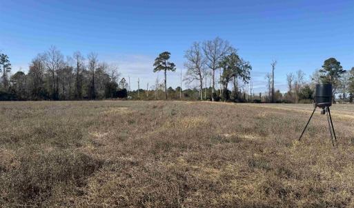 Photo #20 of TBD Beth Dr., Nichols, SC 46.9 acres