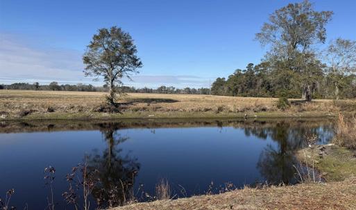 Photo #31 of TBD Beth Dr., Nichols, SC 46.9 acres