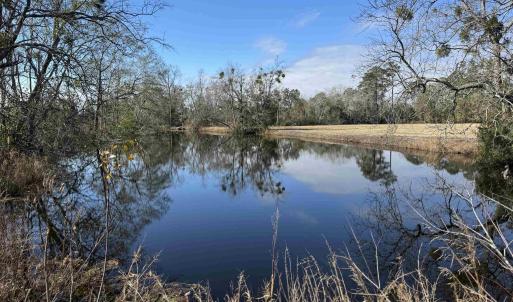 Photo #22 of TBD Beth Dr., Nichols, SC 46.9 acres