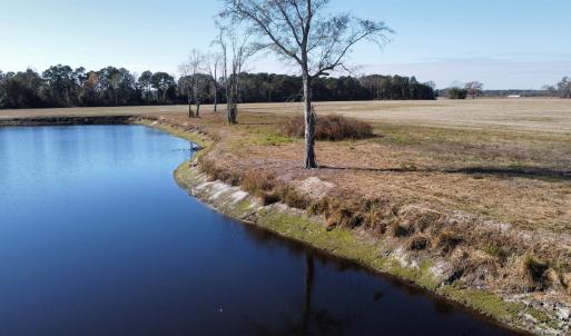 Photo #24 of TBD Beth Dr., Nichols, SC 46.9 acres
