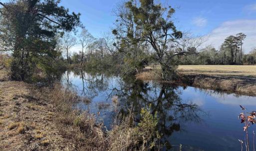 Photo #16 of TBD Beth Dr., Nichols, SC 45.5 acres