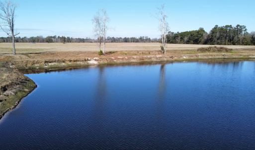 Photo #17 of TBD Beth Dr., Nichols, SC 45.5 acres