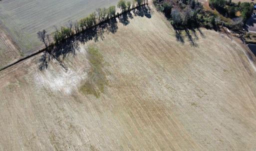 Photo #3 of TBD Beth Dr., Nichols, SC 45.5 acres