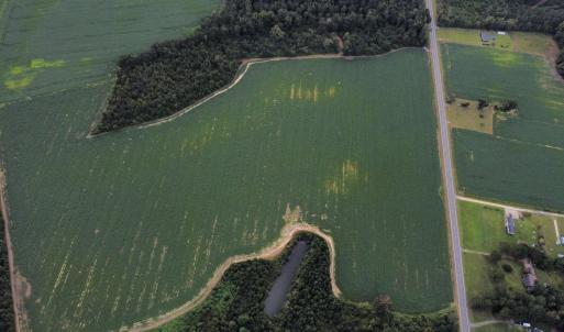 Photo #5 of TBD Hwy 9, Green Sea, SC 65.2 acres