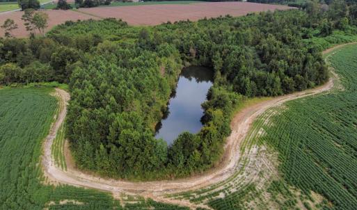 Photo #4 of TBD Hwy 9, Green Sea, SC 65.2 acres