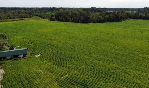 Photo #10 of TBD Hwy 9, Green Sea, SC 65.2 acres
