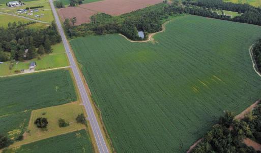 Photo #3 of TBD Hwy 9, Green Sea, SC 65.2 acres