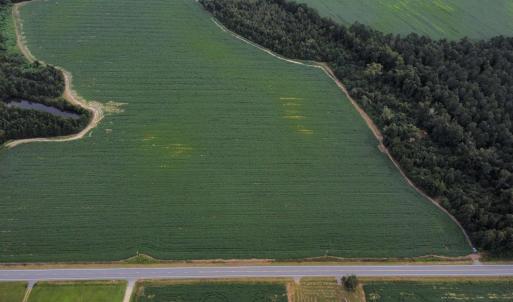 Photo #7 of TBD Hwy 9, Green Sea, SC 65.2 acres