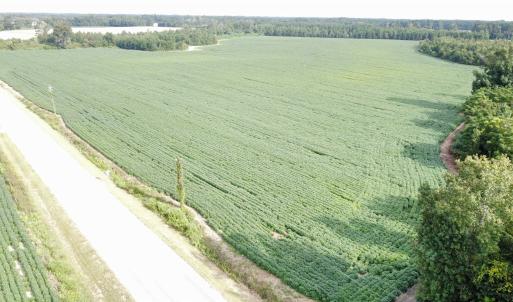 Photo #1 of TBD Hwy 9, Green Sea, SC 65.2 acres