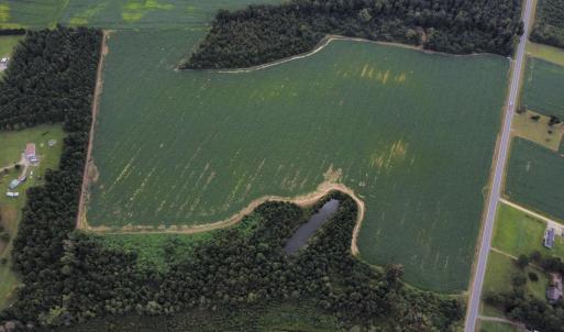 Photo #6 of TBD Hwy 9, Green Sea, SC 65.2 acres