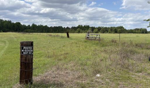 Photo #3 of Grady Rd., Mullins, SC 20.0 acres