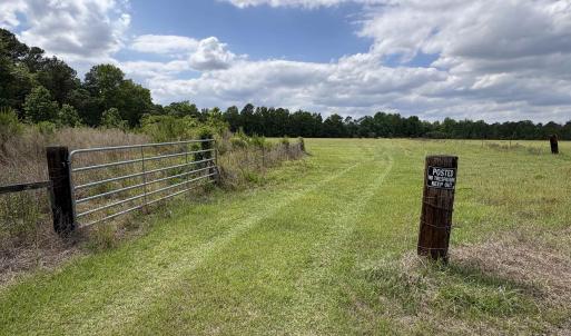 Photo #4 of Grady Rd., Mullins, SC 20.0 acres