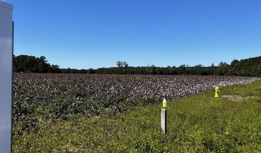 Photo #2 of 1291 Cockfield Rd., Scranton, SC 11.8 acres
