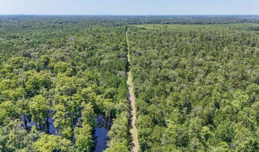 Photo #15 of 2879 Waccamaw Cove, Longs, SC 60.3 acres