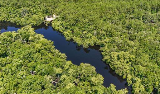 Photo #10 of 2879 Waccamaw Cove, Longs, SC 60.3 acres
