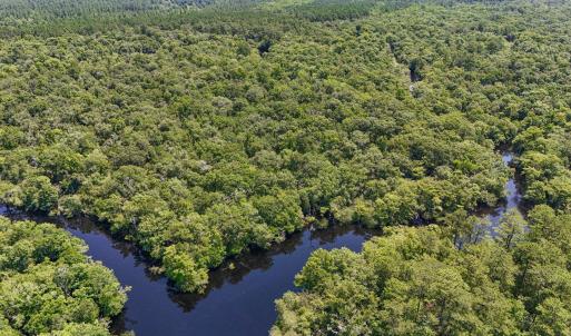 Photo #11 of 2879 Waccamaw Cove, Longs, SC 60.3 acres
