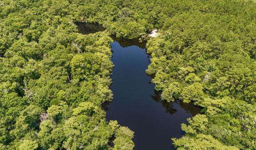Photo #8 of 2879 Waccamaw Cove, Longs, SC 60.3 acres