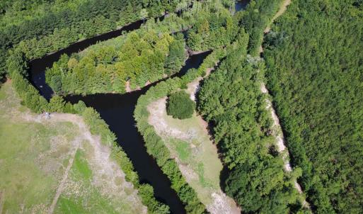 Photo #3 of TBD Hardwick Rd., Nichols, SC 14.0 acres