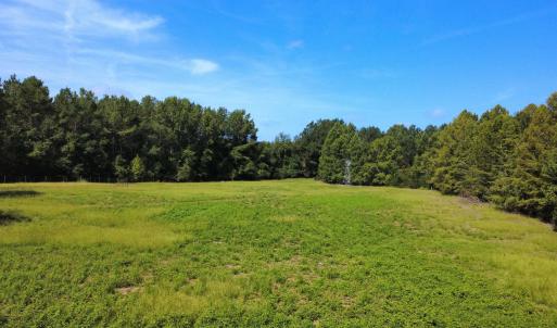Photo #2 of TBD Hardwick Rd., Nichols, SC 14.0 acres