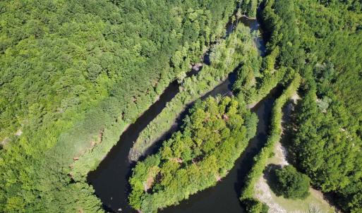 Photo #5 of TBD Hardwick Rd., Nichols, SC 14.0 acres