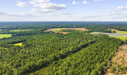 Photo #7 of TBD Fries Bay Rd., Loris, SC 30.0 acres