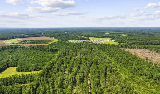 Photo #3 of TBD Fries Bay Rd., Loris, SC 30.0 acres