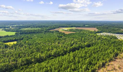 Photo #2 of TBD Fries Bay Rd., Loris, SC 30.0 acres