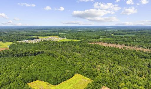 Photo #5 of TBD Fries Bay Rd., Loris, SC 30.0 acres