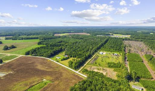 Photo #4 of TBD Fries Bay Rd., Loris, SC 30.0 acres