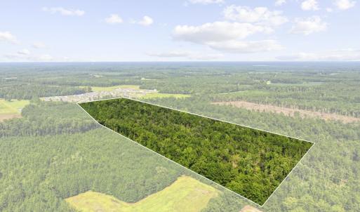 Photo #1 of TBD Fries Bay Rd., Loris, SC 30.0 acres