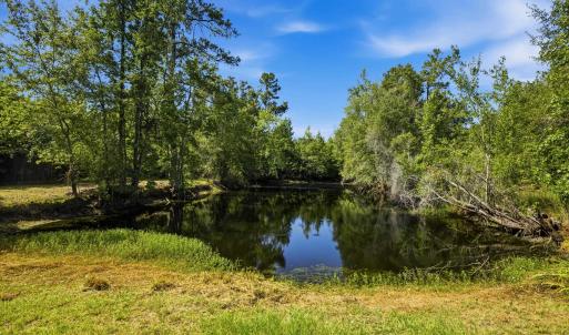Photo #38 of 6400 Black Creek Rd., Nichols, SC 93.5 acres