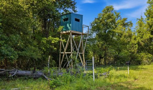 Photo #9 of 6400 Black Creek Rd., Nichols, SC 93.5 acres