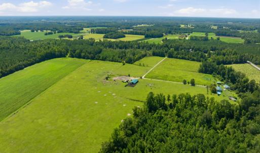 Photo #26 of 6400 Black Creek Rd., Nichols, SC 93.5 acres