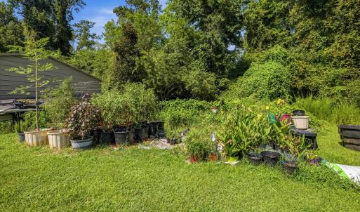 Photo #61 of 6400 Black Creek Rd., Nichols, SC 93.5 acres