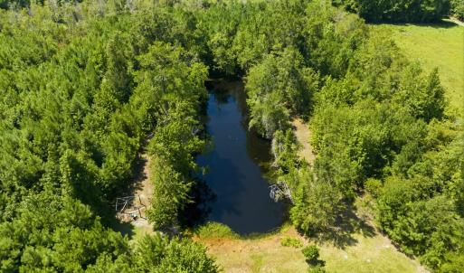 Photo #11 of 6400 Black Creek Rd., Nichols, SC 93.5 acres