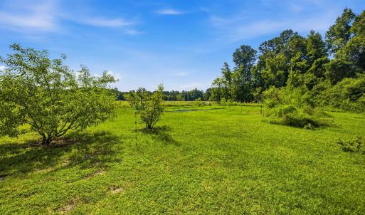 Photo #62 of 6400 Black Creek Rd., Nichols, SC 93.5 acres