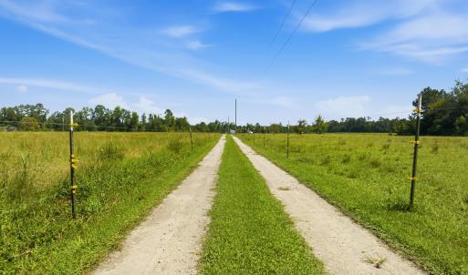 Photo #6 of 6400 Black Creek Rd., Nichols, SC 93.5 acres