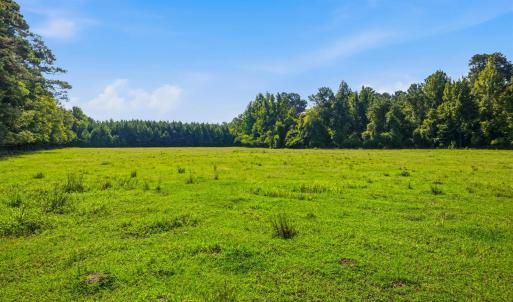 Photo #32 of 6400 Black Creek Rd., Nichols, SC 93.5 acres