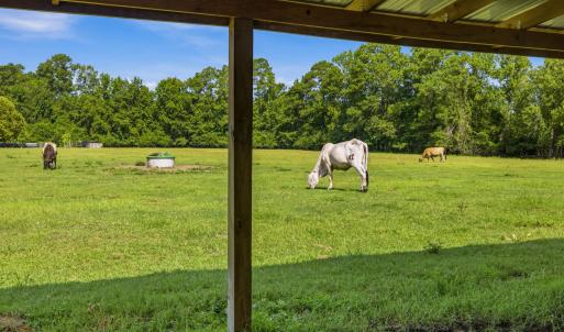 Photo #40 of 6400 Black Creek Rd., Nichols, SC 93.5 acres
