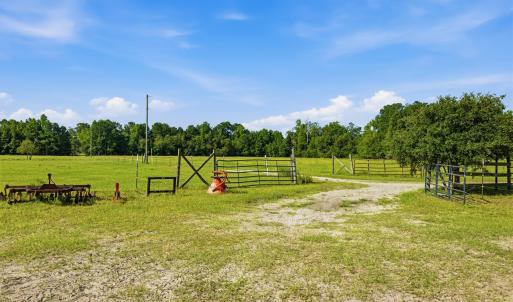 Photo #28 of 6400 Black Creek Rd., Nichols, SC 93.5 acres