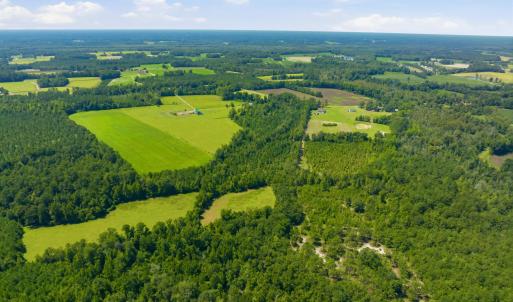 Photo #25 of 6400 Black Creek Rd., Nichols, SC 93.5 acres