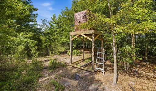 Photo #36 of 6400 Black Creek Rd., Nichols, SC 93.5 acres