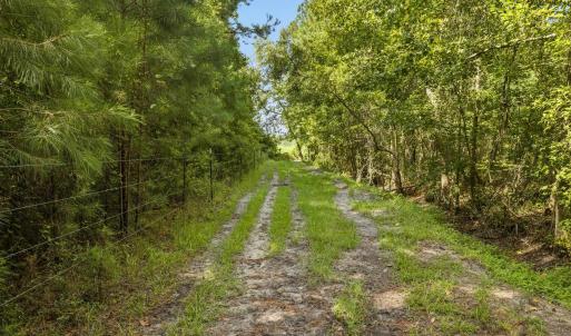 Photo #34 of 6400 Black Creek Rd., Nichols, SC 93.5 acres