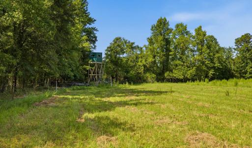 Photo #33 of 6400 Black Creek Rd., Nichols, SC 93.5 acres