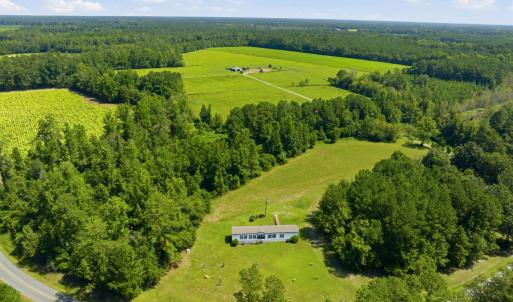 Photo #20 of 6400 Black Creek Rd., Nichols, SC 93.5 acres