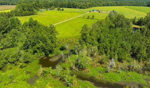 Photo #12 of 6400 Black Creek Rd., Nichols, SC 93.5 acres
