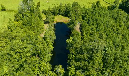Photo #23 of 6400 Black Creek Rd., Nichols, SC 93.5 acres