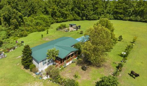 Photo #15 of 6400 Black Creek Rd., Nichols, SC 93.5 acres