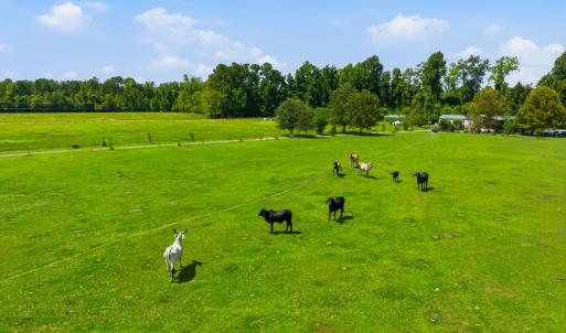 Photo #8 of 6400 Black Creek Rd., Nichols, SC 93.5 acres